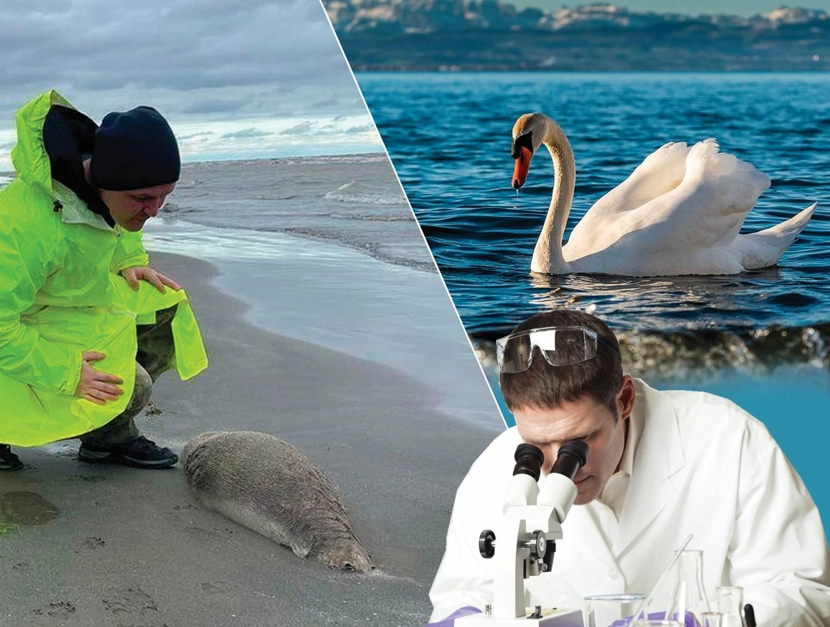 اققۋ, بالىق ءھام كيىك... تىرشىلىك يەلەرىن تىرىدەي قىرعان نە؟