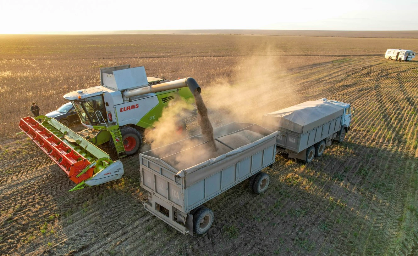 اۋىل شارۋاشىلىعىنا – جۇيەلى كوزقاراس