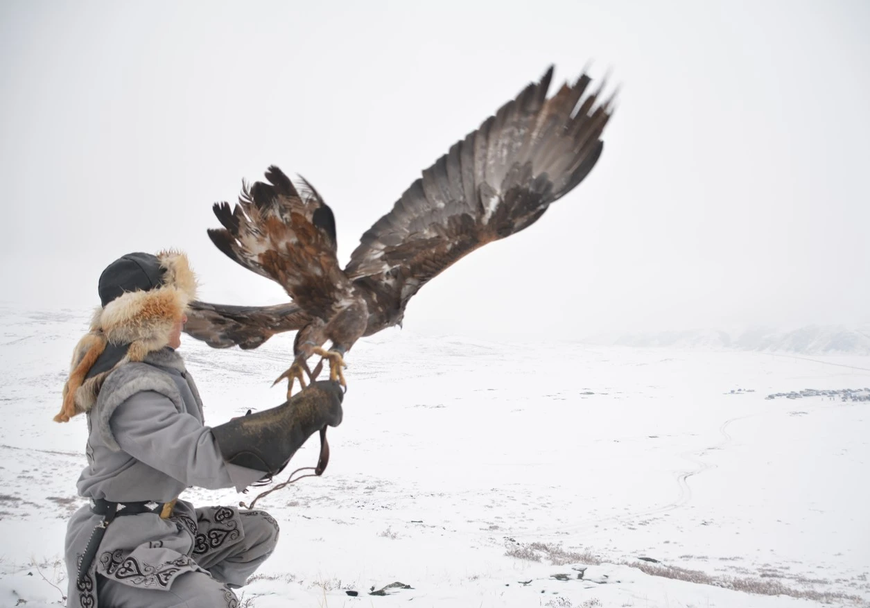 بوزانبايداعى بۇركىتشىلەر مەرەيى