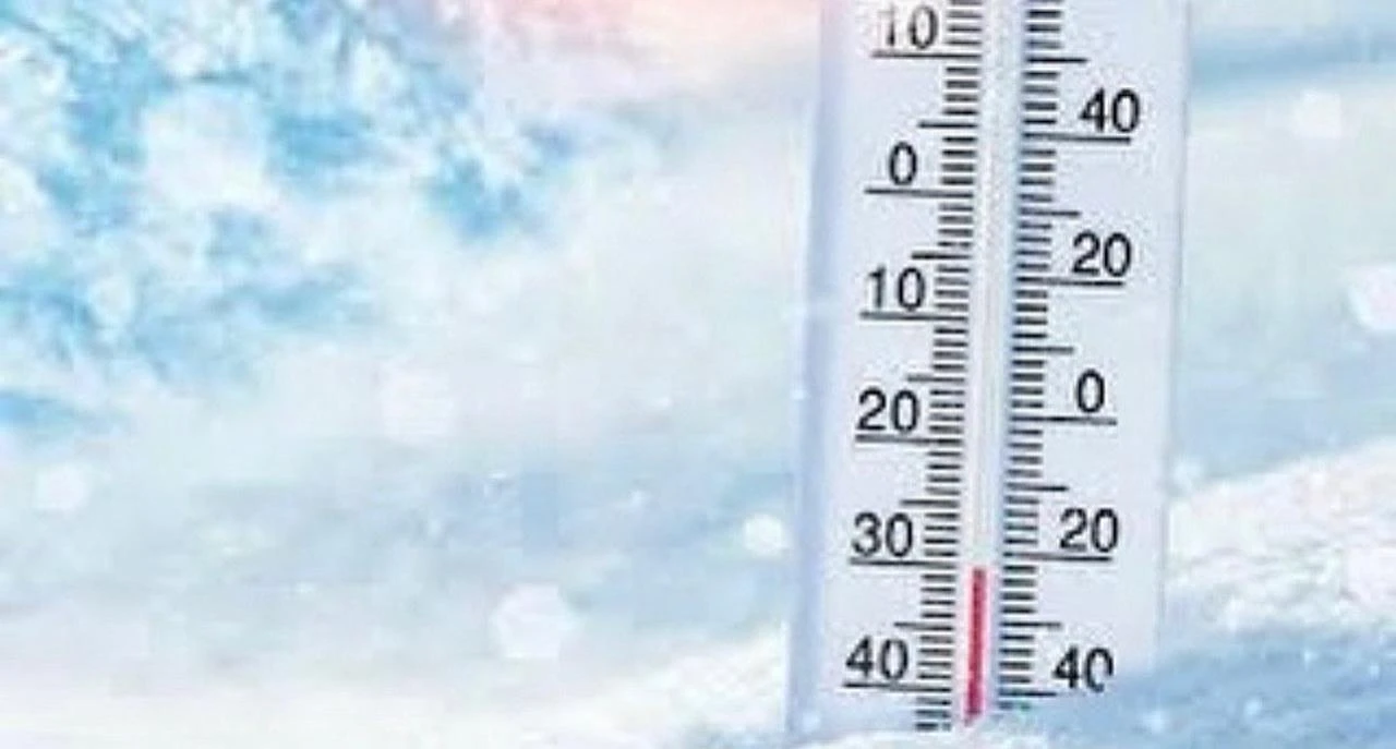 ەلوردادا ەكىنشى اۋىسىم وقۋشىلارى ونلاين وقيدى