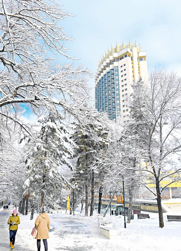 الماتىنىڭ سەيسميكالىق يممۋنيتەتى قانداي؟