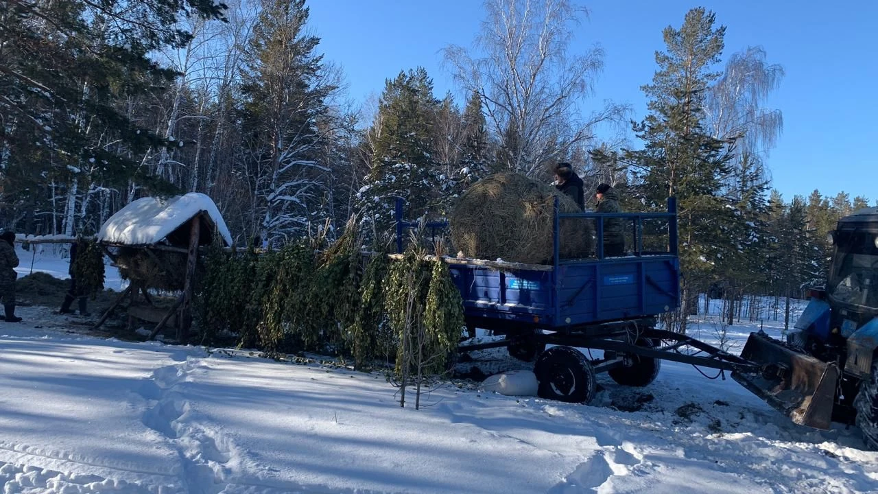 قىسقى ساناق جۇرگىزىلىپ جاتىر