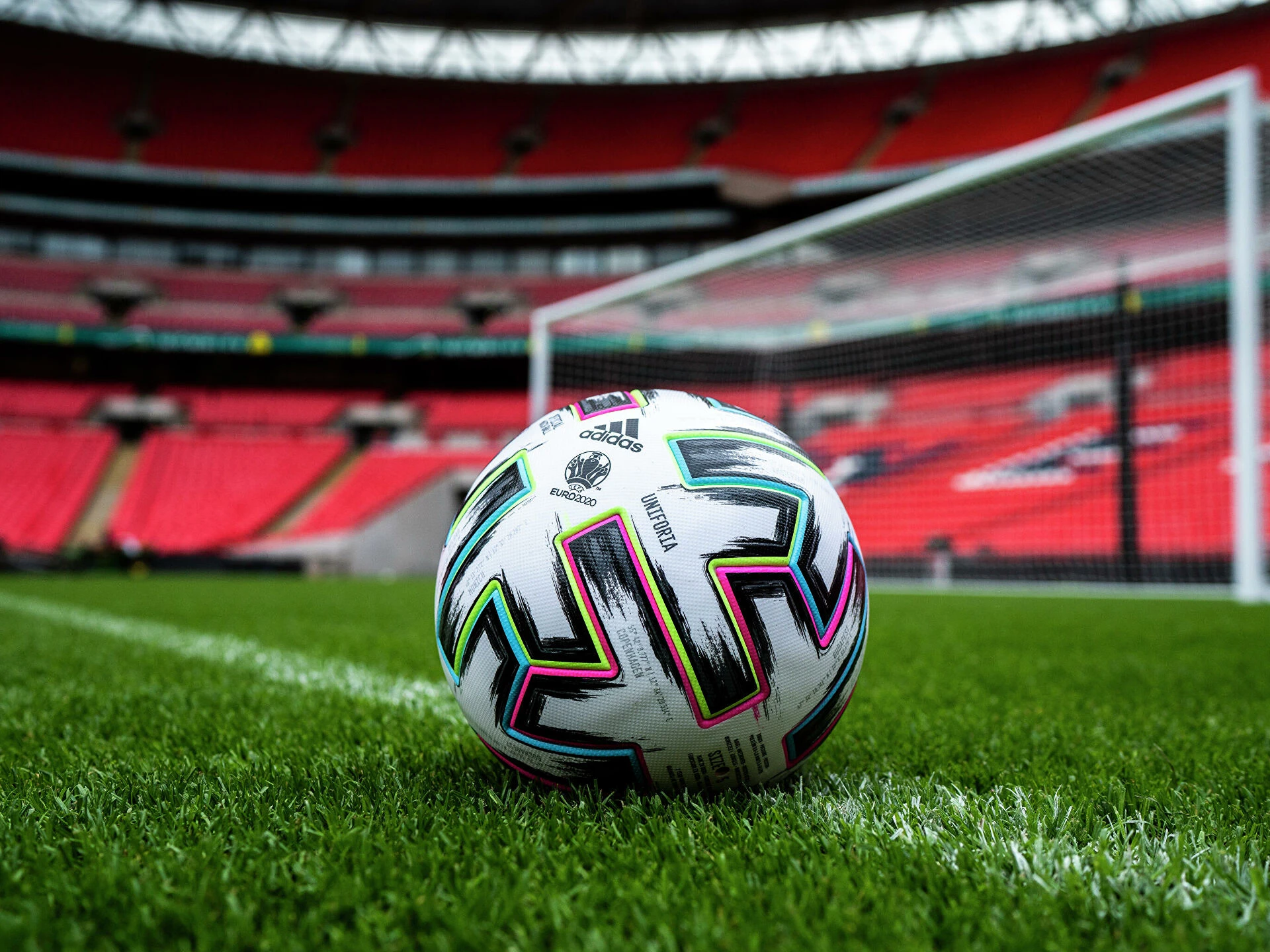 قوناقتاردىڭ قارقىنى قاتتى