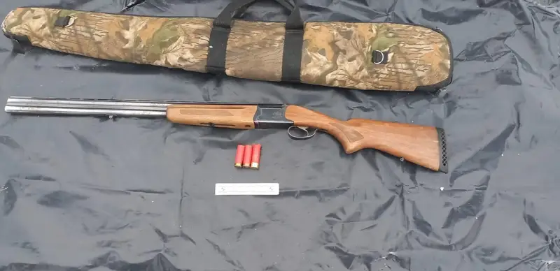 جامبىل وبلىستىق پوليتسياسى