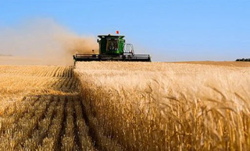 ەگىس القاپتارىن ءارتاراپتاندىرۋ