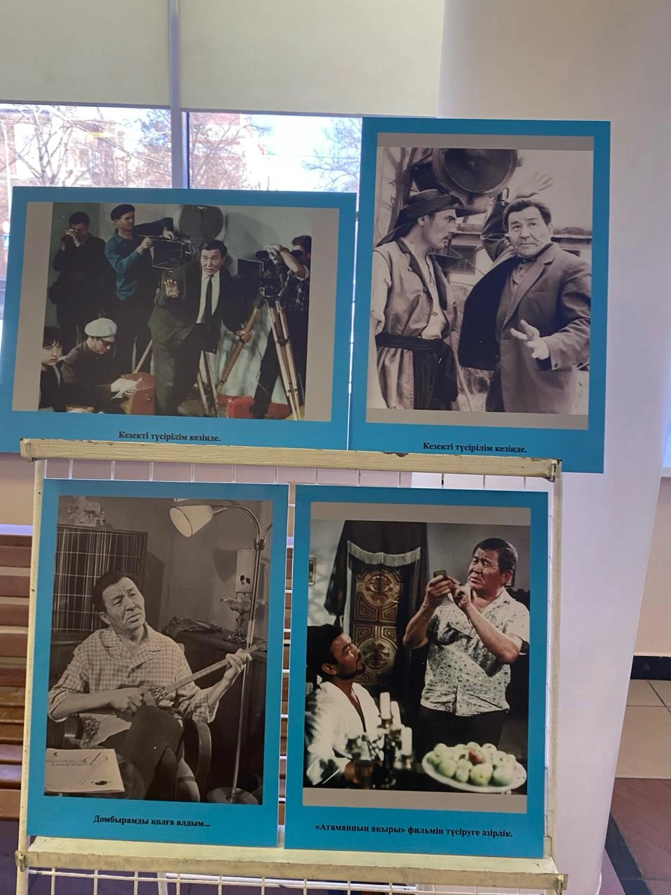 شاكەن كينولارىنىڭ اپتالىعى