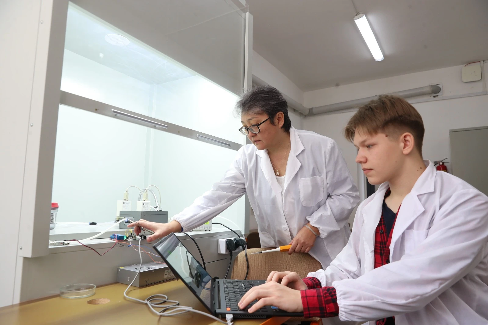 ەۇۋ عالىمدارى ەكولوگيالىق مونيتورينگ ءۇشىن «ەلەكتروندى مۇرىن» جاساپ جاتىر