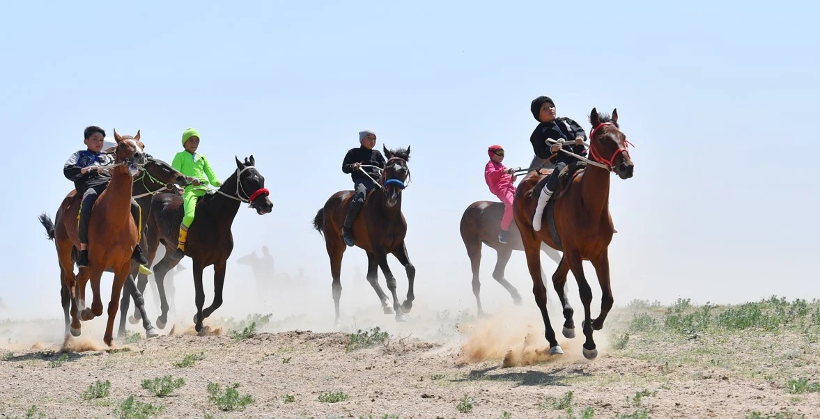 جىلقىدان نەگە جىراقتاپ بارامىز؟