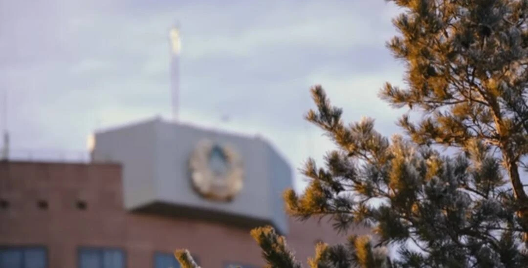 «ەسىرتكى وندىرگەن». ترانسۇلتتىق قىلمىستىق توپ ۇستالدى