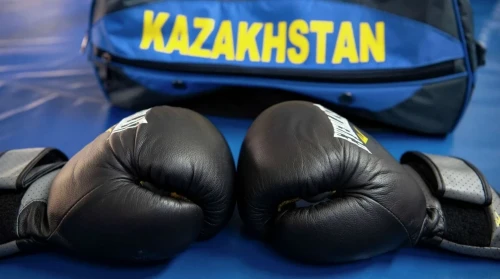 بەلگرادتاعى تۋرنيرگە باراتىن بوكسشىلار بەلگىلى بولدى