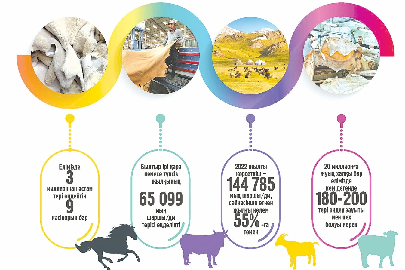 تەرى قاشان تەڭگەگە اينالادى؟