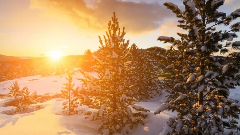 قازاقستاندا كۇن جىلىنا باستايدى