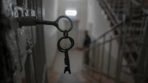 تۇرمەدەگى توبەلەس. قاتاڭ رەجيمدەگى كولونيادا سوتتالۋشى كوز جۇمدى