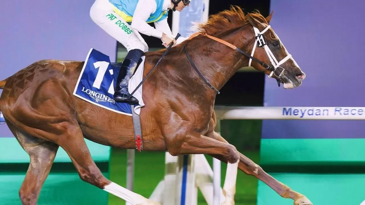 ەڭ جۇيرىك ات يەسىنە ميلليون ديرحام بەرىلەدى: جارىسقا قازاقستاننىڭ «كابيرحان» ارعىماعى قاتىسادى