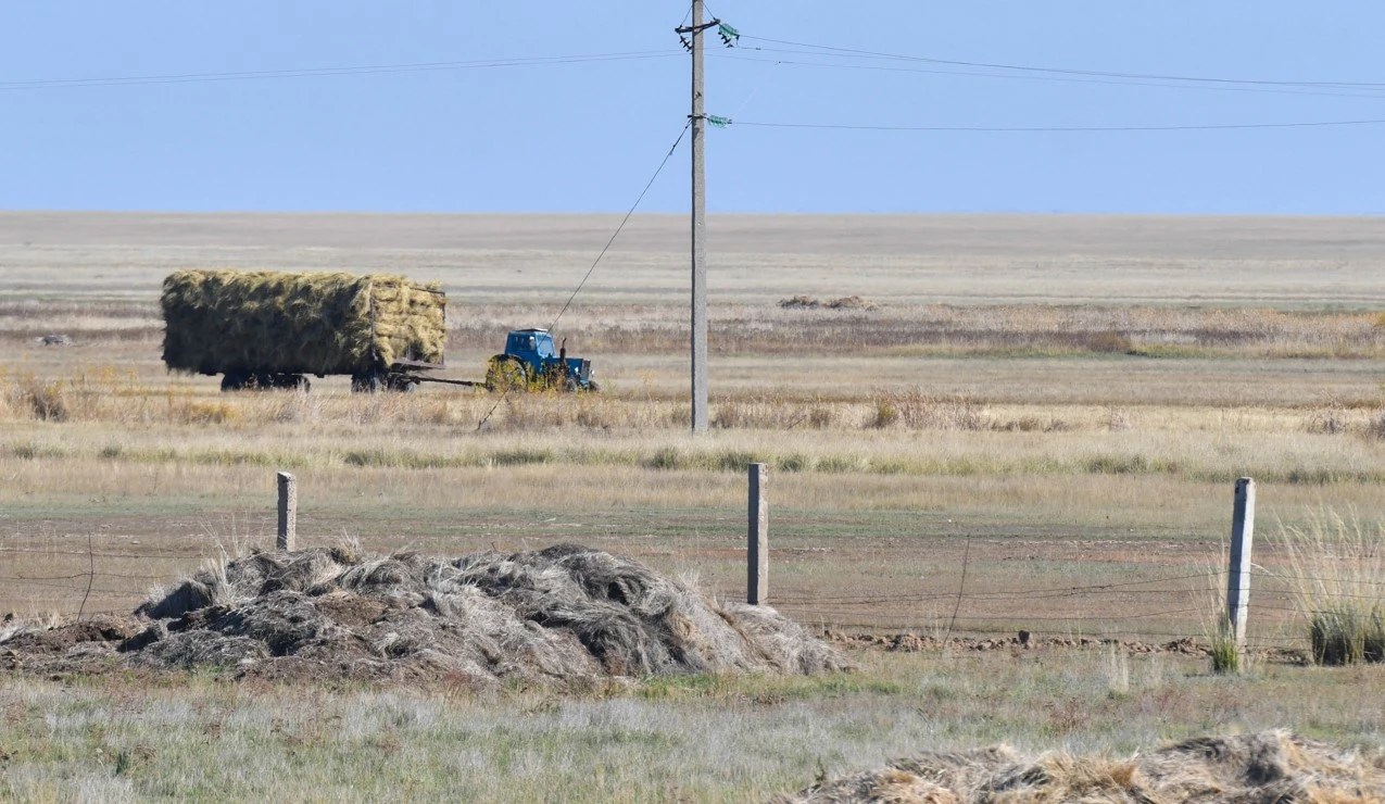 القاپتى تاپتاتپاۋدىڭ امالى