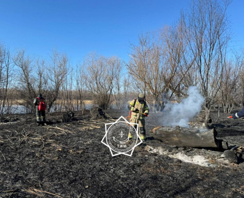 كاسپي تەڭىزىنىڭ جاعالاۋىندا 1000 گەكتار قامىس ورتەندى