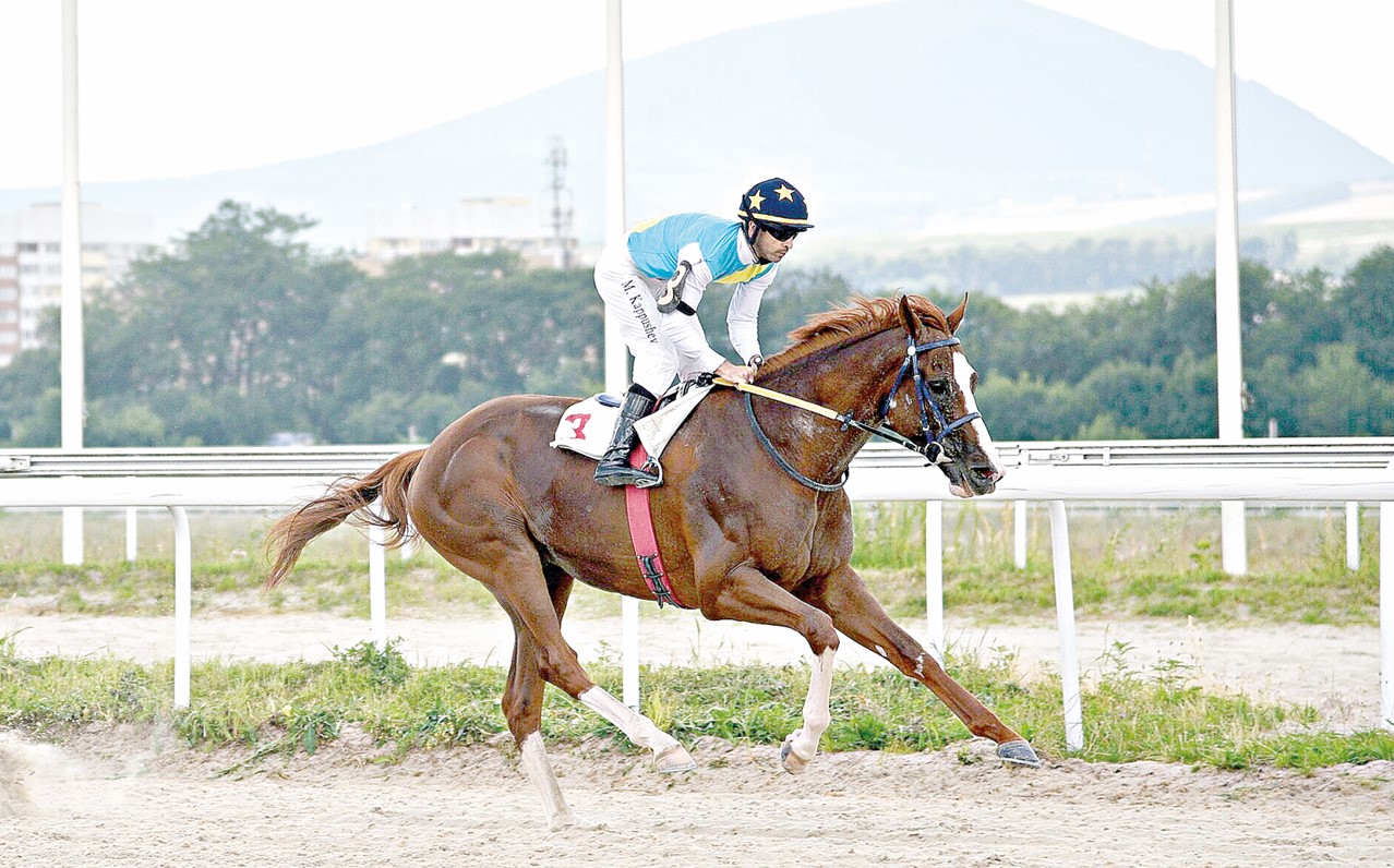 كابىرحان –  ۇلى بايگەنىڭ سايگ ۇلىگى