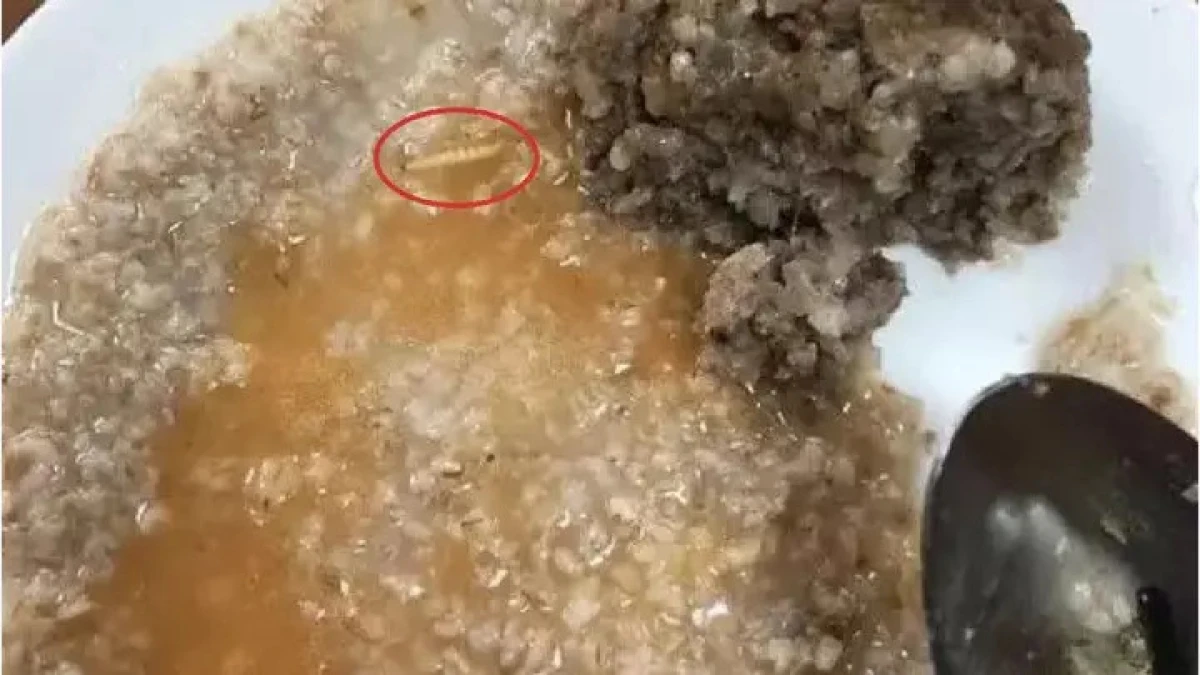 پاۆلوداردا مەكتەپ اسحاناسىنداعى تاماقتان قۇرت شىقتى