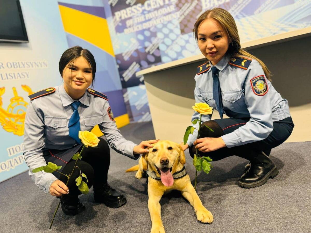 پوليتسيا كز