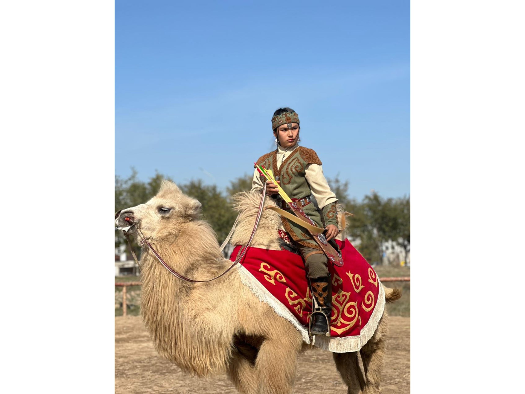 اتقا قونعان ارۋلار