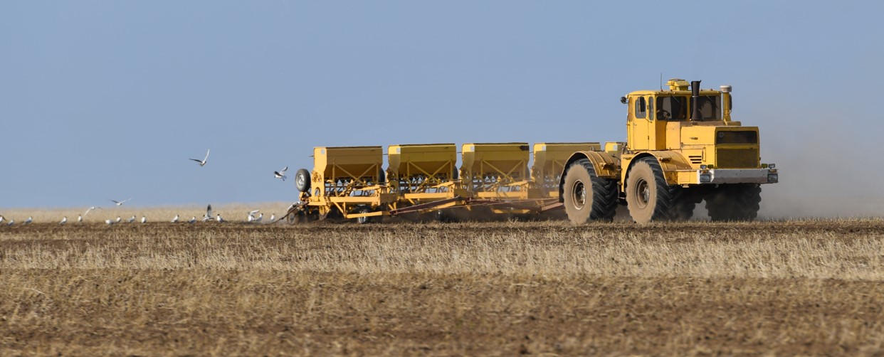 اگرارلىق سالا العا باسسىن دەسەك...
