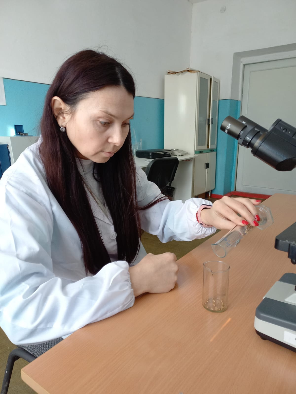 Cاپاسىز تۇقىم سان سوقتىرماسىن