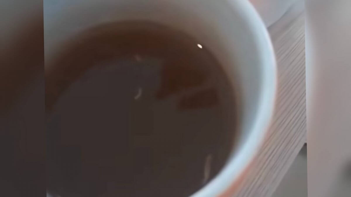 «انتيسانيتاريا ءورشىپ تۇر»: ناۋقاستارعا بەرىلگەن استان قۇرت شىقتى (ۆيدەو)