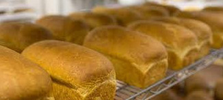 ناندى ەڭ كوپ جەيتىن وبلىس انىقتالدى