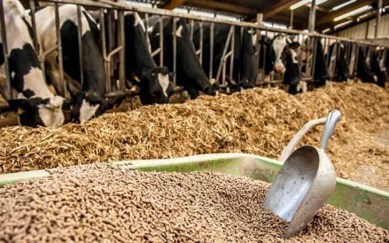 مال ازىعىنىڭ ساپاسىن ارتتىراتىن ءونىم