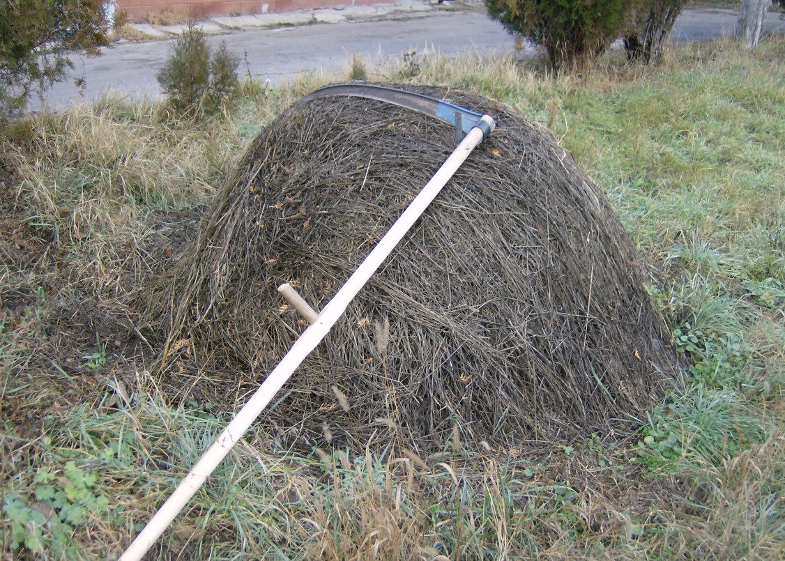 قولشالعى. كوك شالعىن