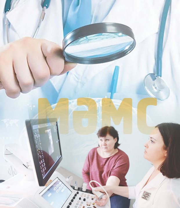 شەتەلدىكتەر ءمامس مۇمكىندىگىن پايدالانا الا ما؟