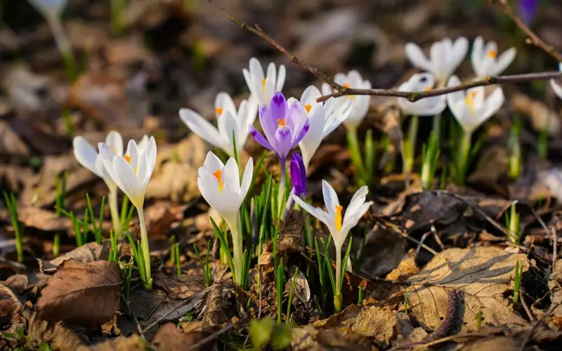 امال مەرەكەسىندە ەل اۋماعىندا قانداي اۋا رايى بولادى؟