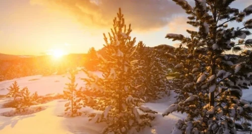 قازاقستاندا كۇن جىلىنا باستايدى