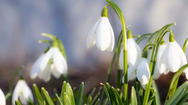 مەرەكە كۇندەرى ەلىمىزدە قانداي اۋا رايى بولادى؟