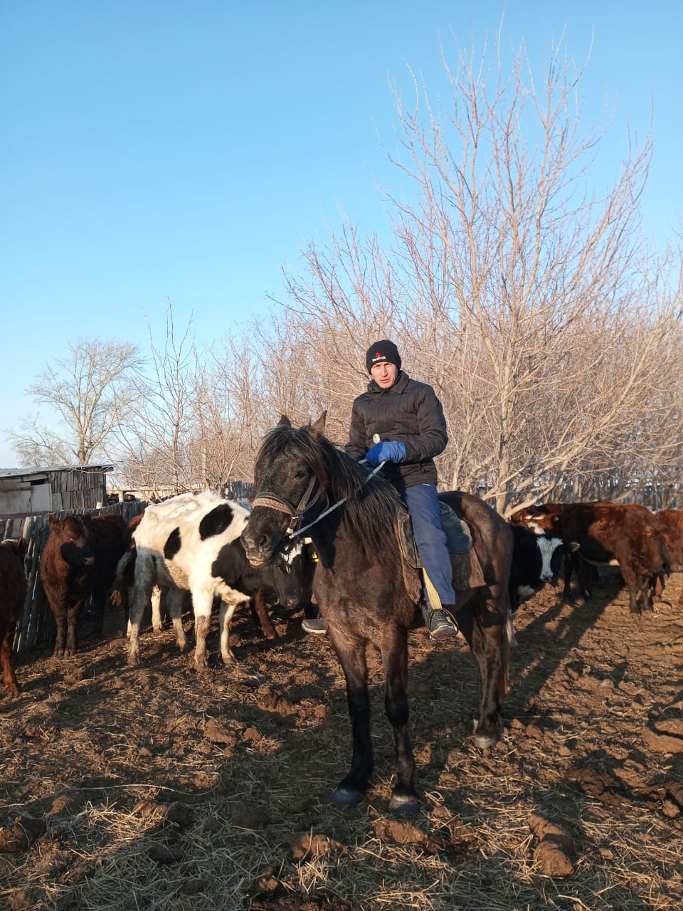 اتاكاسىبىنە ادال ازامات