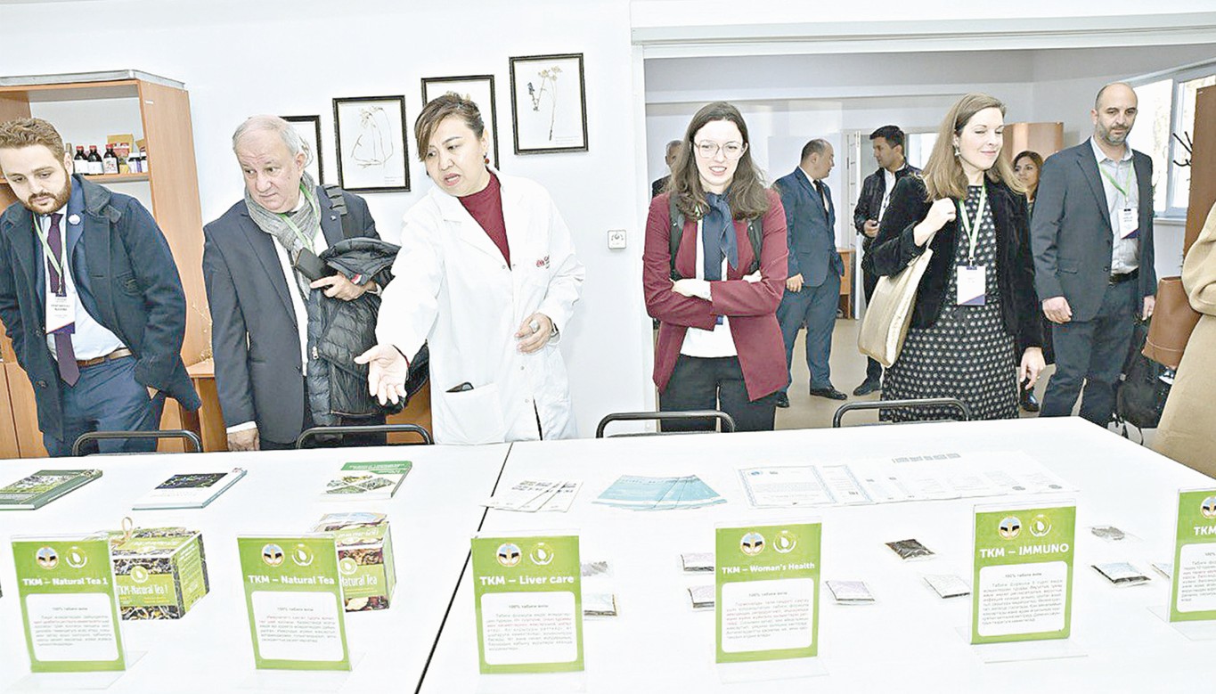 جۋسان دەگەن ءبىر ءشوپ بار