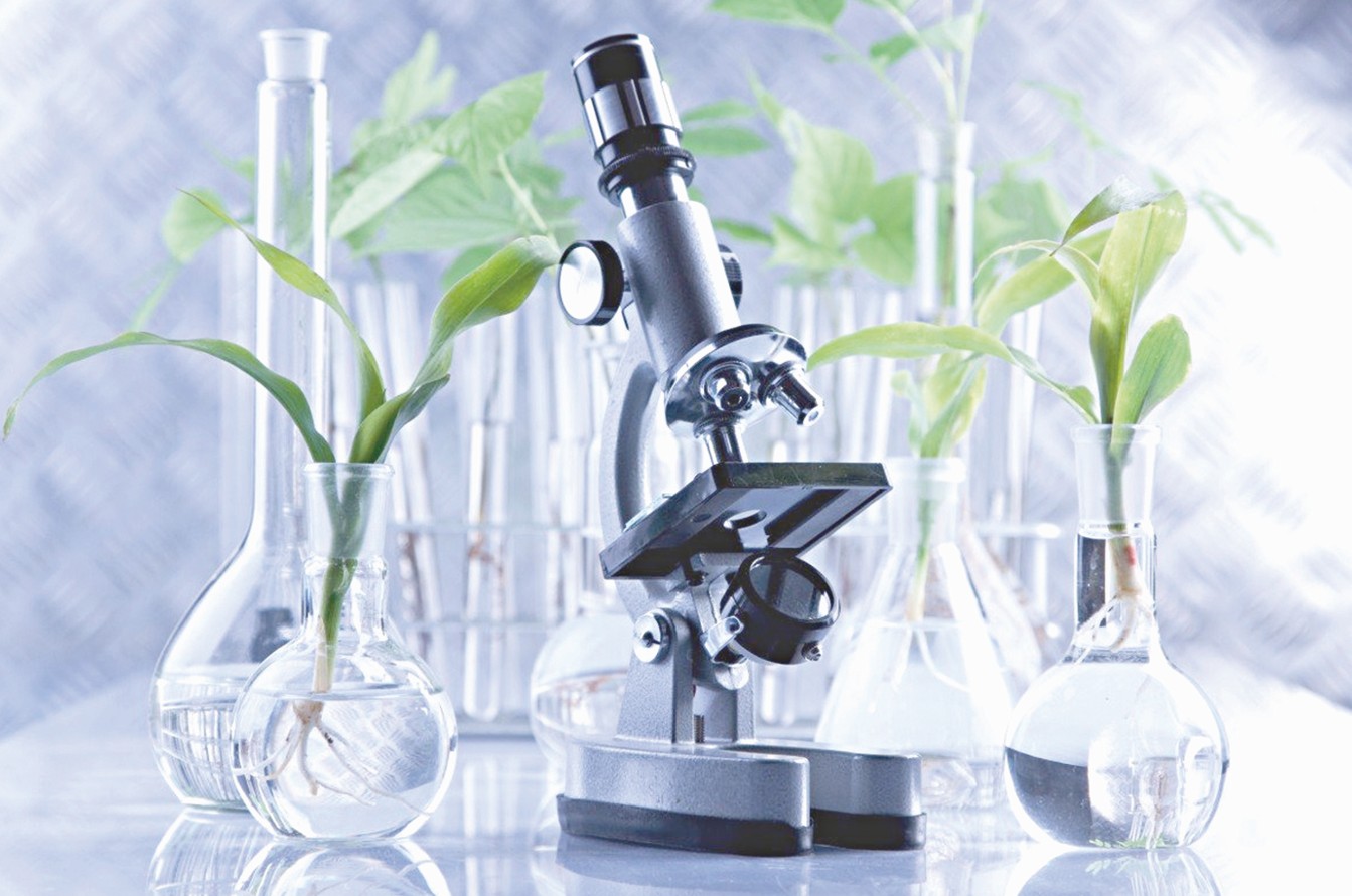 «سىر سۇلۋىنا» سۇرانىس جوعارى