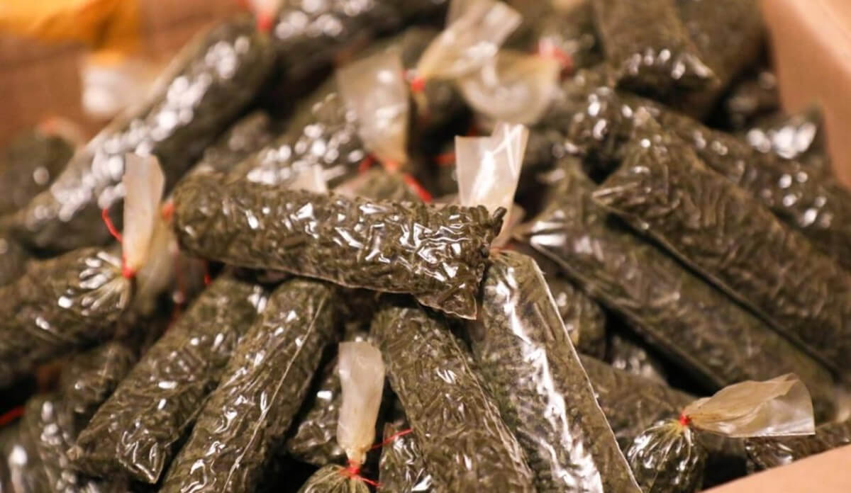 استانادا ناسىباي وندىرەتىن جەراستى تسەحى جويىلدى