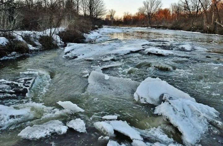 قاردىڭ ەرۋى قارقىندى