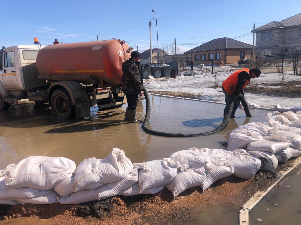 كوكتەمگى قاربالاس