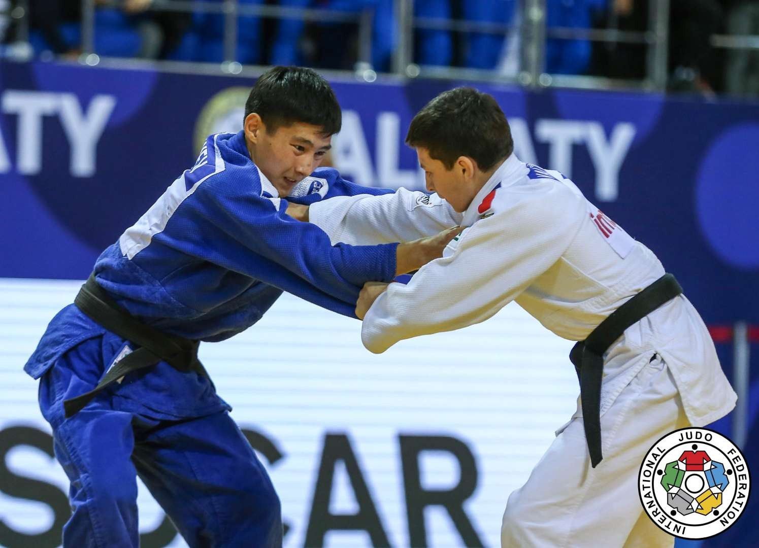 قاپ تاۋىندا قوس جۇلدە بۇيىردى