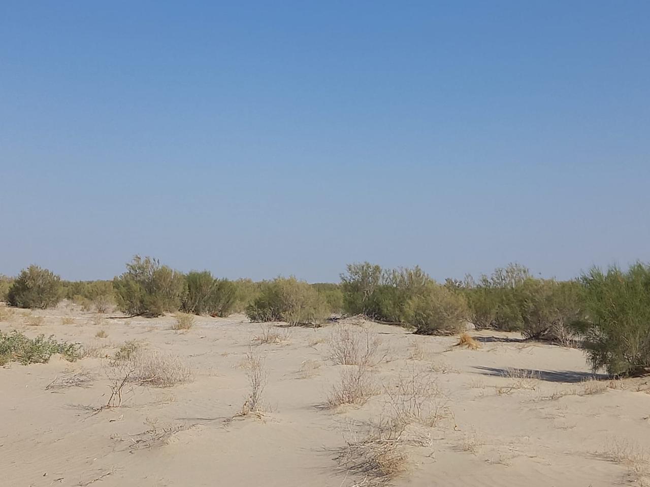 تەڭىز تابانىندا تۇلەگەن تىرشىلىك