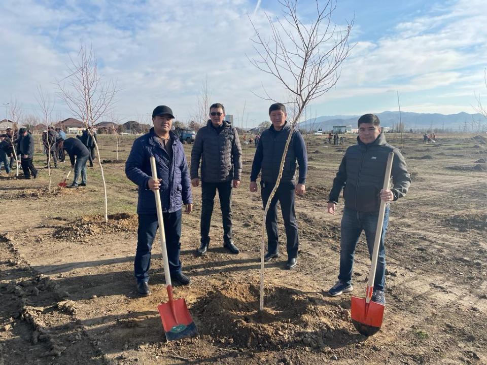 سايا بولاتىن كوشەتتەر