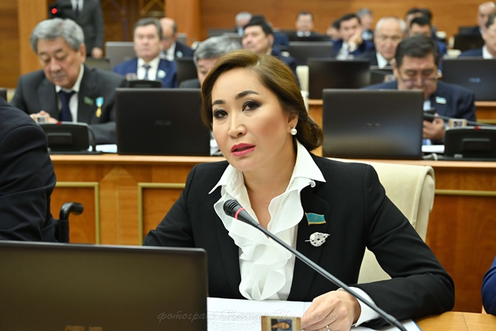 دەپۋتات: جول بولماسا, قانداي سەرپىن, قانداي دامۋ بولادى؟