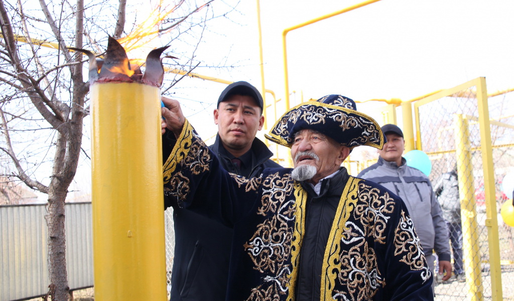 مەرەكەنى ارلەگەن كوگىلدىر وتىن