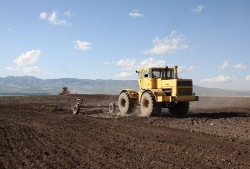 جەتىسۋ وبلىسىندا داقىلداردىڭ ەگىس القابى ۇلعايتىلادى