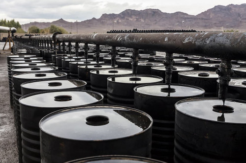 قىزىلوردادا مازۋتتى زاڭسىز ساتقاندار سوتتالدى