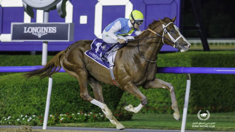 كابيرحان دۋبايدا وتكەن الەم كۋبوگىندا نەشىنشى ورىن الدى؟