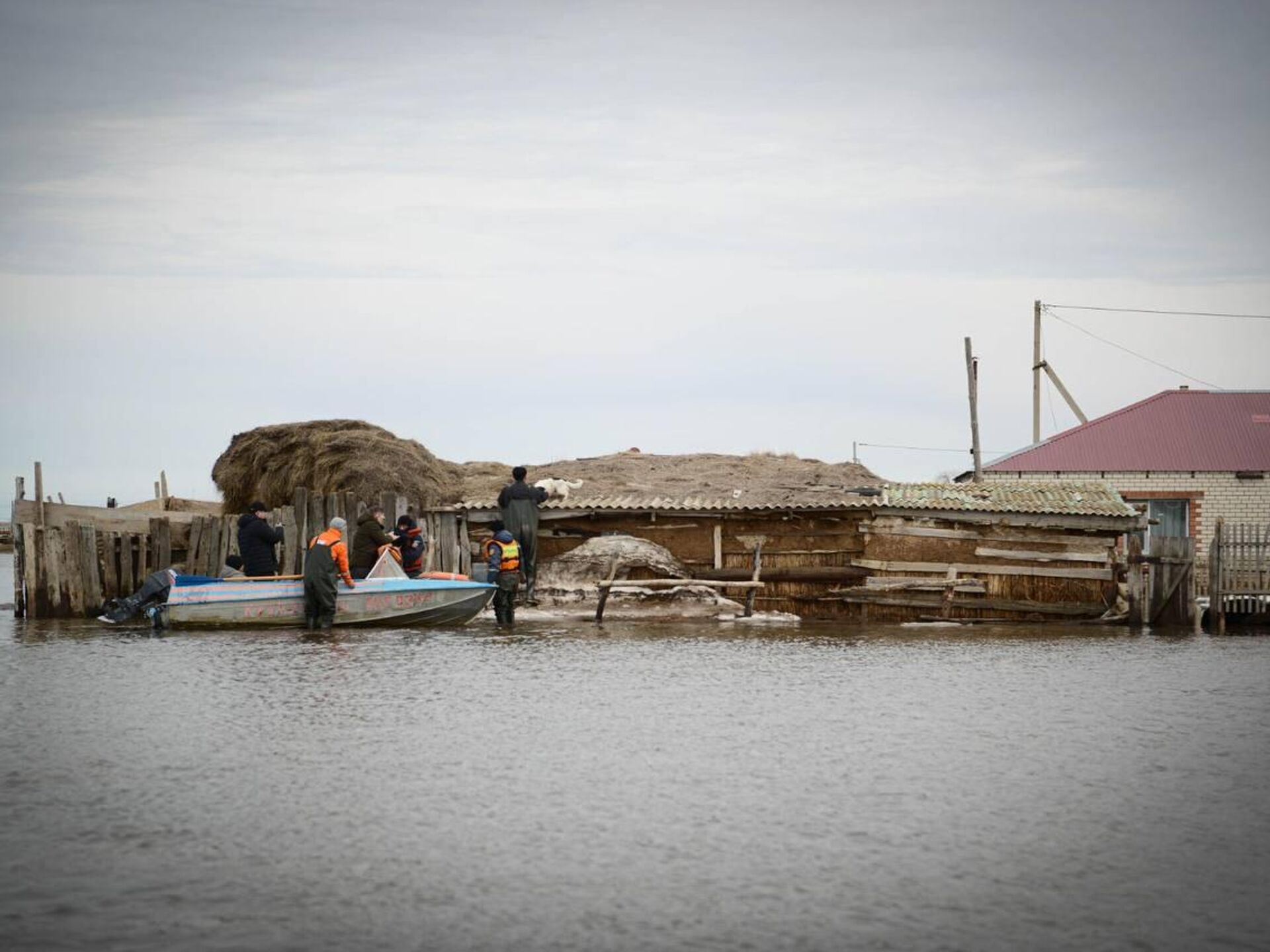 قاۋىپ سەيىلەر ەمەس