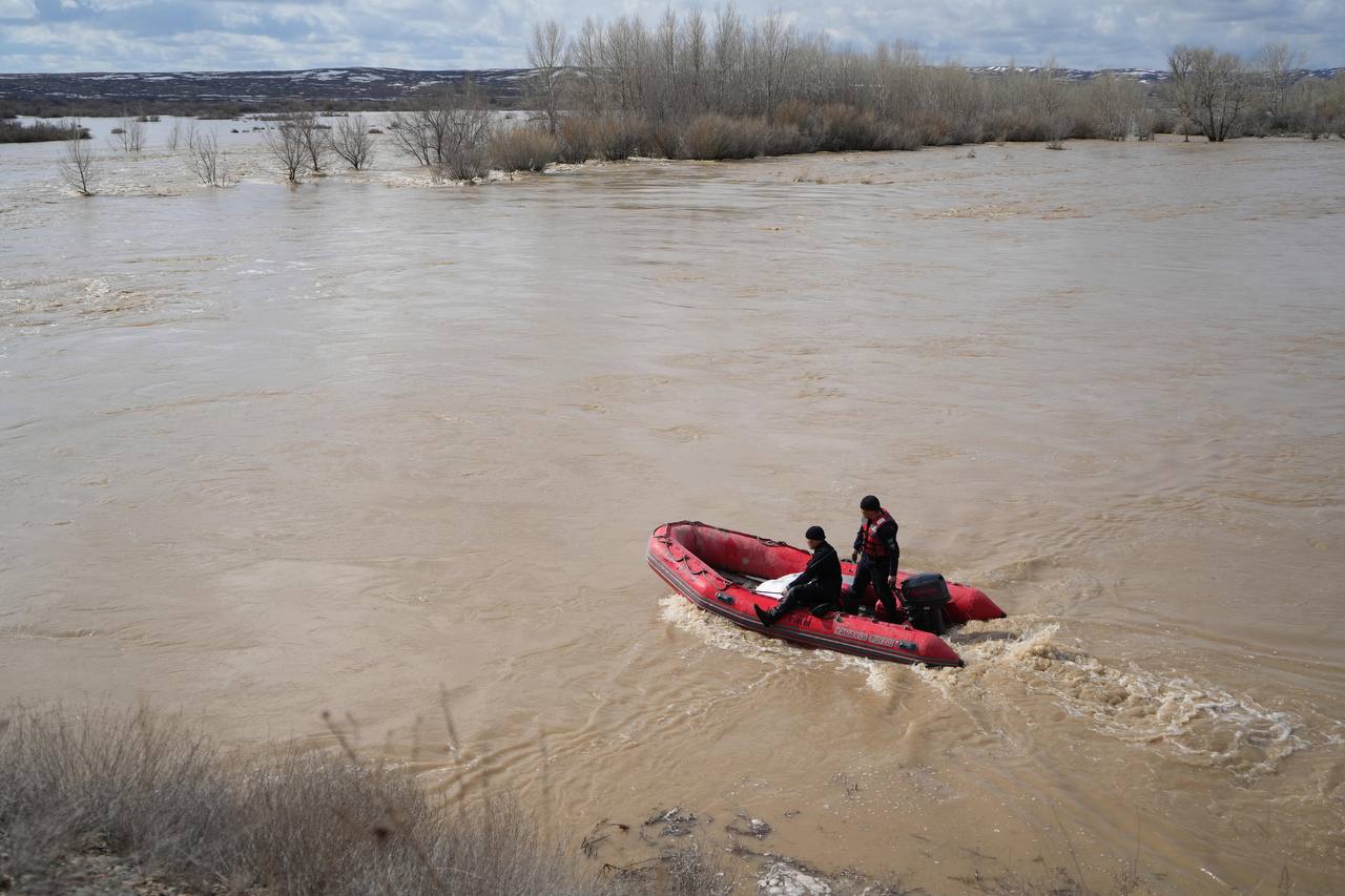 اعىننىڭ قارقىنى قاتتى